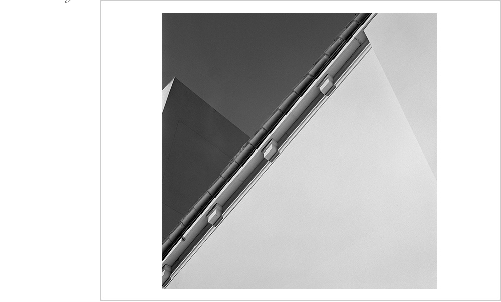 Luxurious tone and repetition of pattern are striking in this architecture detail.