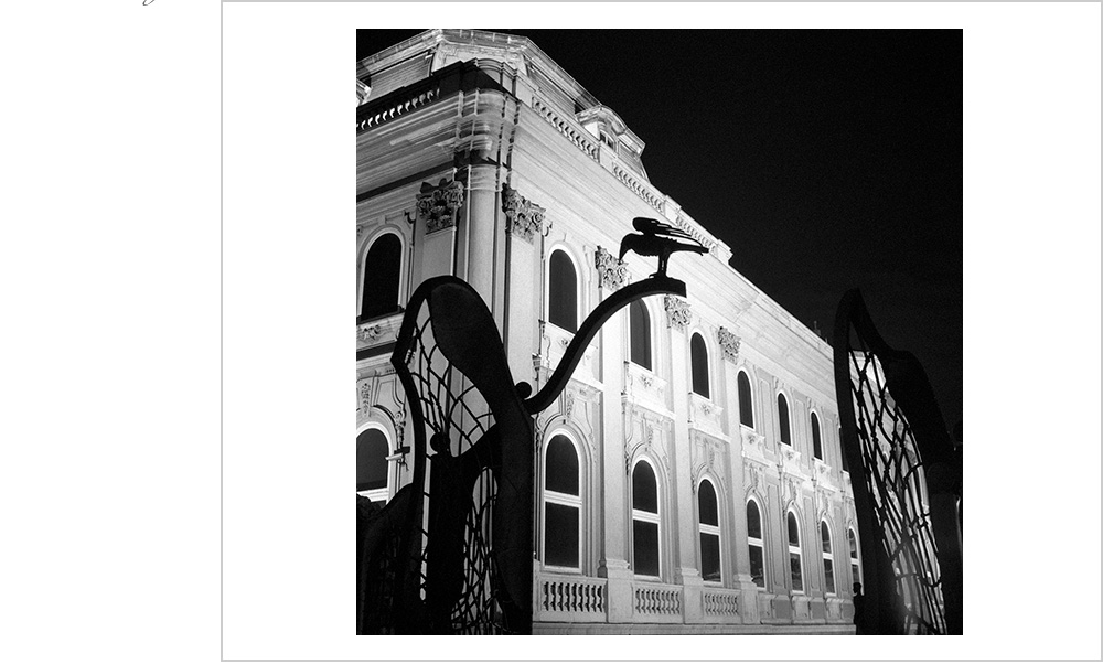 The crow's silhouette stands guard at the gates of this grand palace in Budapest.