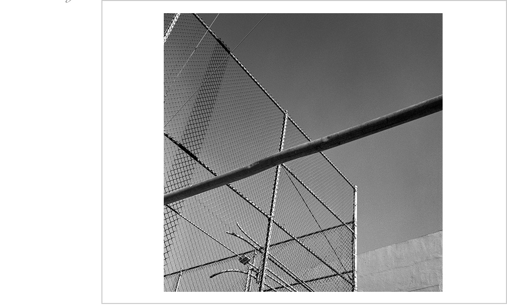 A chainlink fence offering infinite possibilities for design and form.