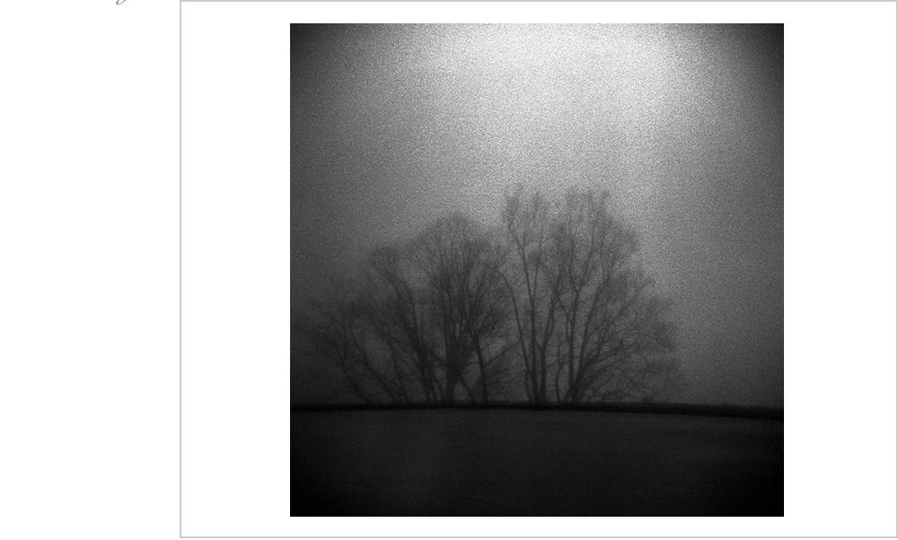 Everything but the silhouettes of these trees are obscured by the fog in Great Smokey National Park.