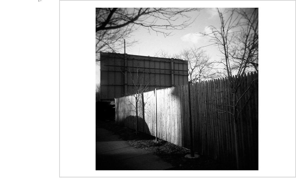 Strong vertical lines all over the place. Sun spalshing. Trees. Words.