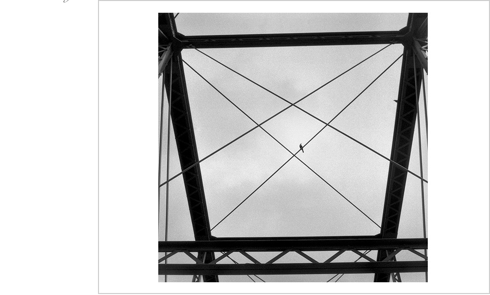 Talk about masterpiece! A very fortuitous moment on this brdge spanning the Chippewa River in Chippewa Falls, Wisoconsin. The immaculate framing of this scene provides endless astonishment