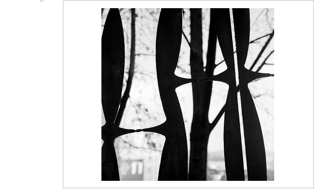 The texture and pattern, composition and contrast of this image is so good it makes the heart swell with butterflies
