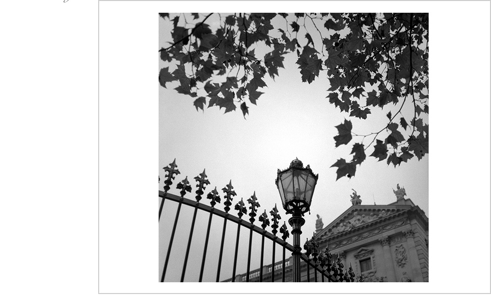 You know how some people can take a seemingly absurd amount of clothes and fit them into a tiny suitcase? I do that with the camera. Majestic moments with trees and lamps and fences in Vienna Austria