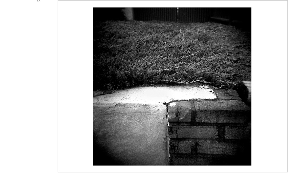 I am often asked, what are you taking a picture of? My response is always the same, eternal beauty